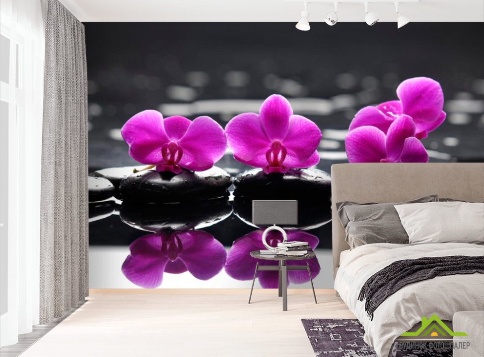 выбрать Фотообои Орхидеи малинового цвета Фотообои Орхидеи на стену