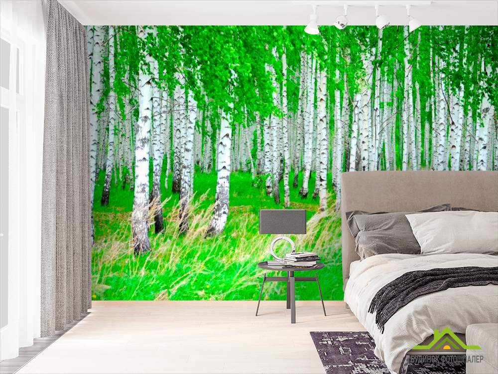 Фотообои Березовая роща, лес