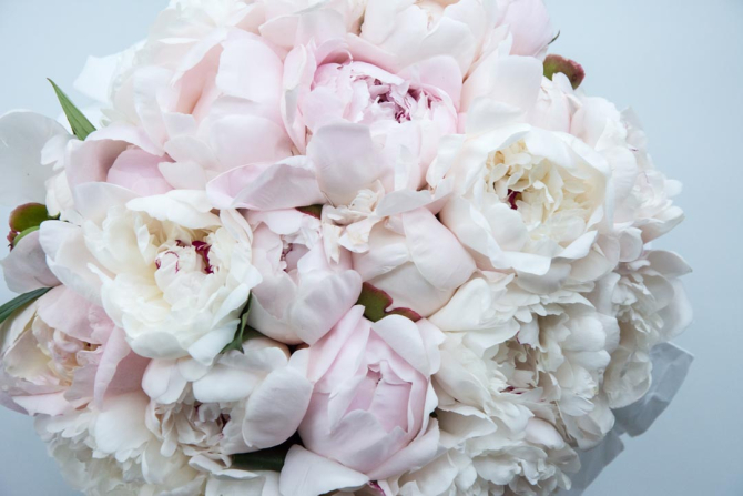 Фотообои большой пион из пионов