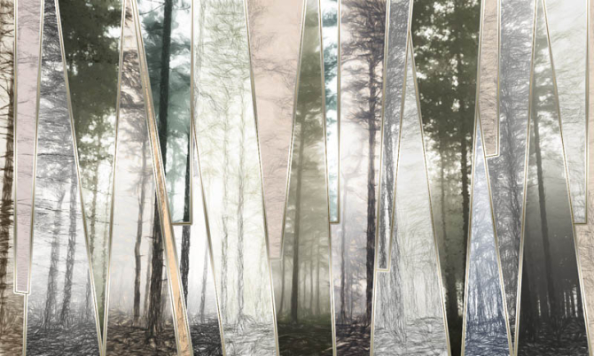 Фотошпалери 3D дерева