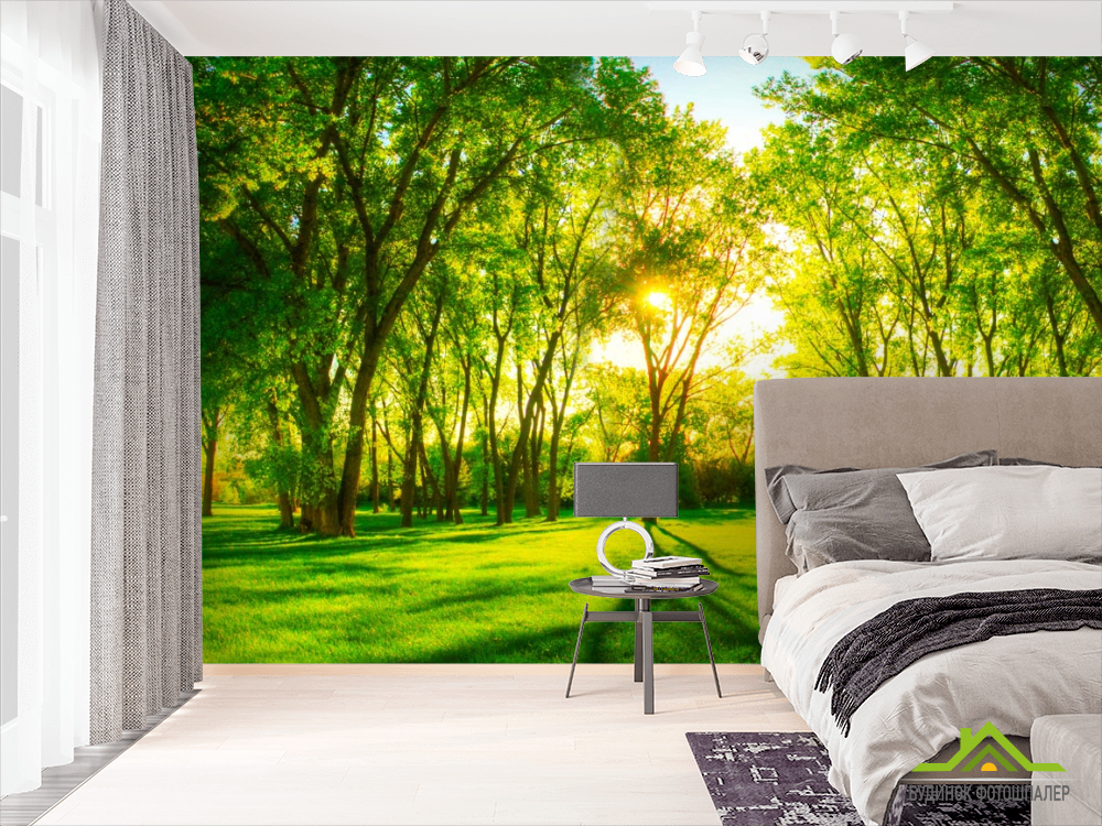 Фотообои Зеленые деревья