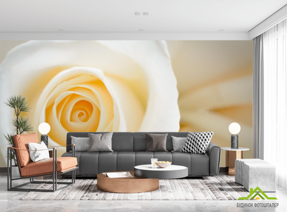 выбрать Фотообои кремовая роза Фотообои Розы на стену