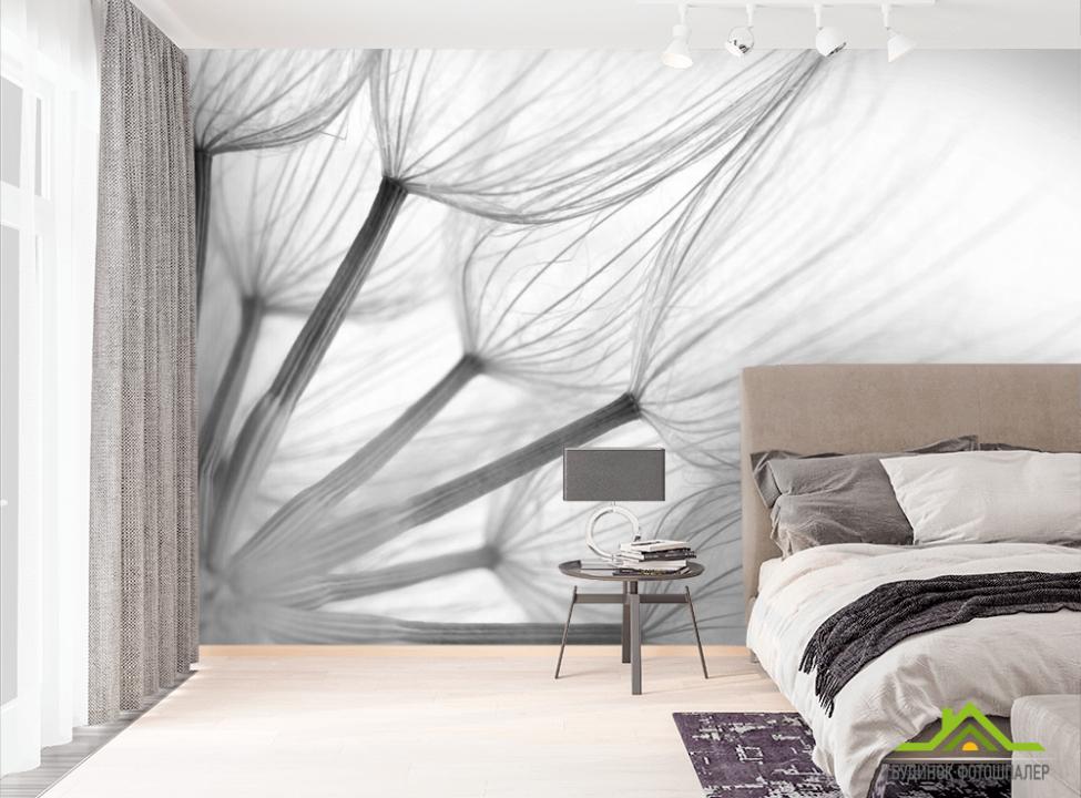 выбрать Фотообои Одуванчик Фотообои Цветы на стену