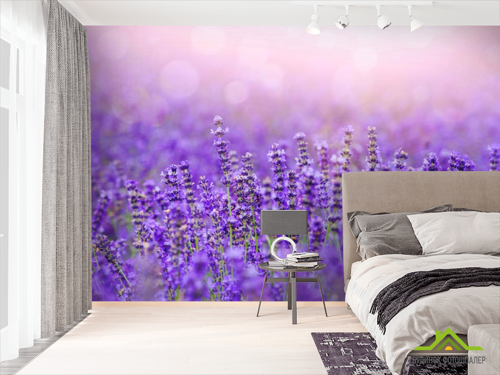Фотообои Лавандовое поле