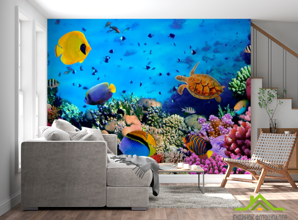 выбрать Фотошпалери Разнообрзие риб Фотошпалери Риби і море на стіну