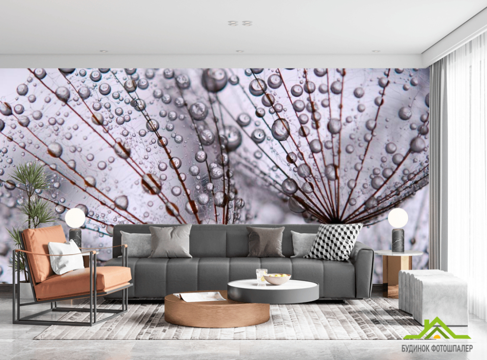 выбрать Фотообои На одуванчиках роса Фотообои Одуванчики на стену