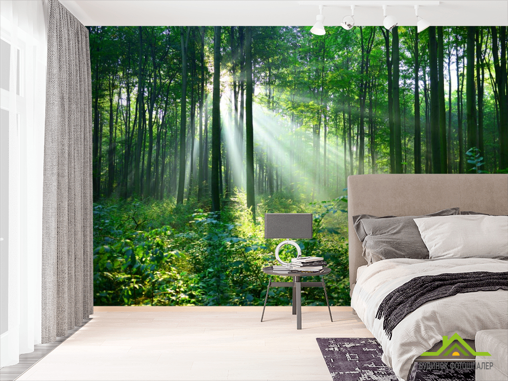 Фотообои зеленые деревья в лесу