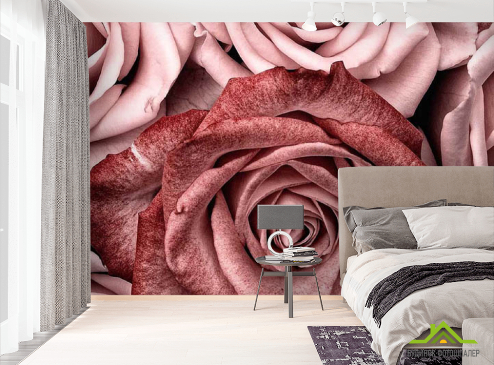 выбрать Фотошпалери троянди винного кольору Фотошпалери Квіти на стіну