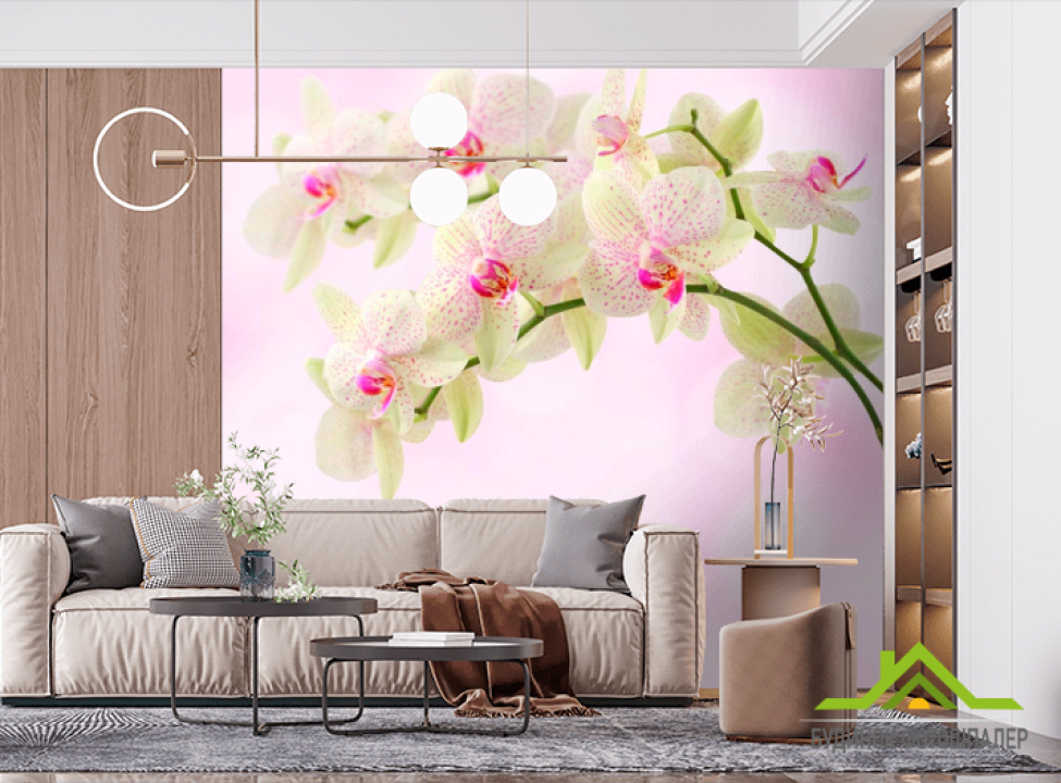 выбрать Фотообои Орхидеи точечные Фотообои Орхидеи на стену