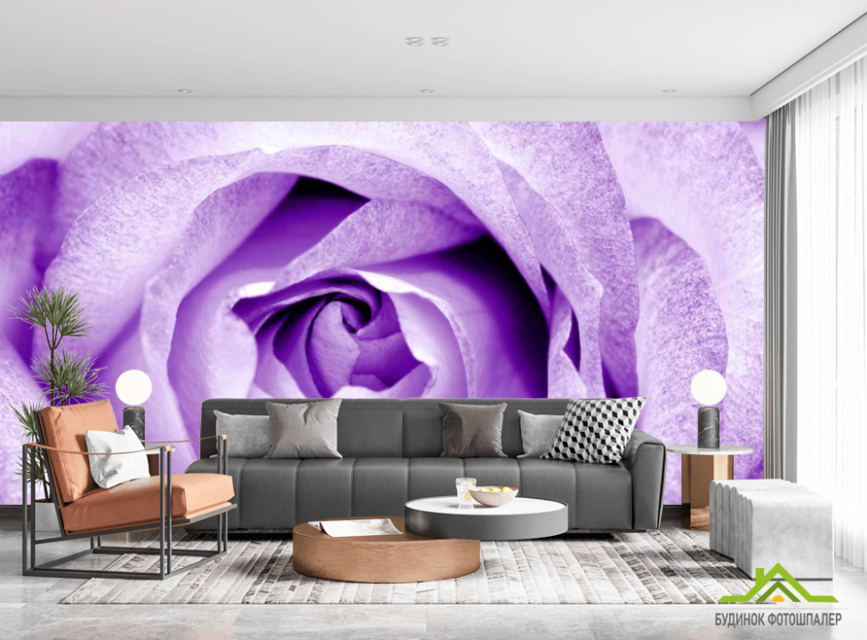 выбрать Фотообои Снежно-сиреневая роза Фотообои Цветы на стену