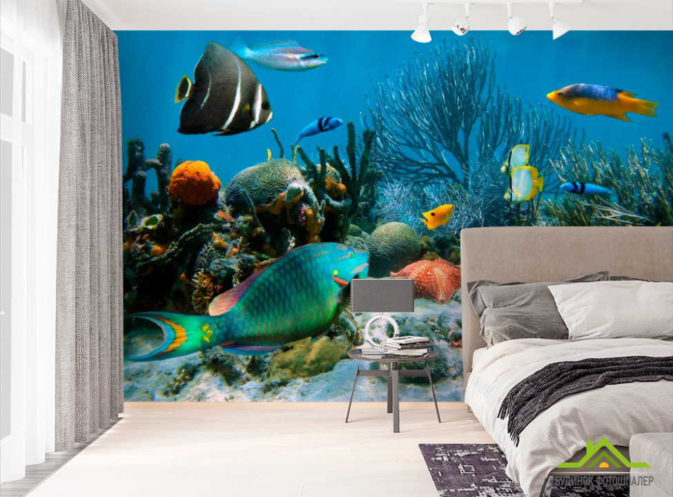 выбрать Фотошпалери Морські риби Фотошпалери Риби і море на стіну