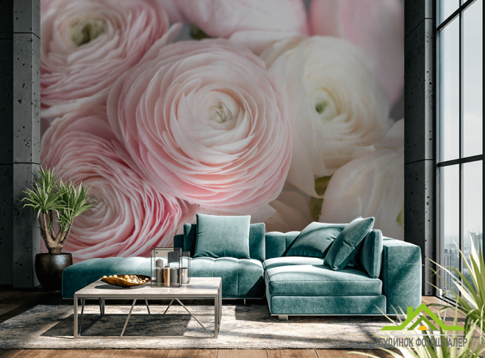 выбрать Фотообои Розовые рунункюлусы Фотообои Цветы на стену