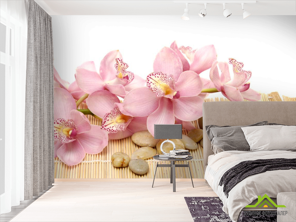 Фотообои Орхидея