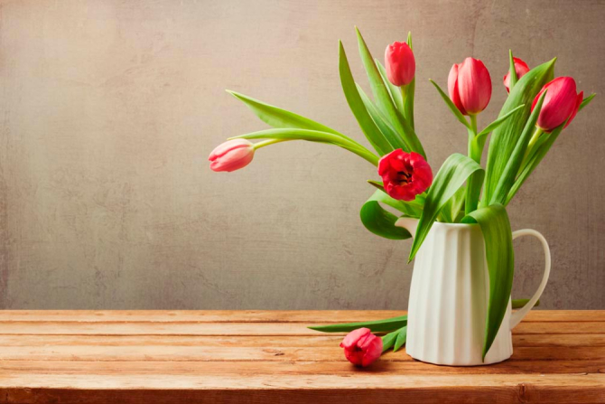 Фотошпалери Тюльпани