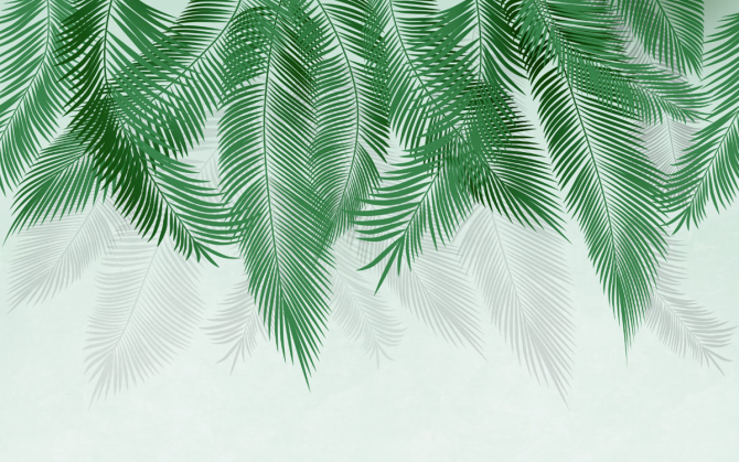 Фотошпалери пухнасті пальмове листя на стіну