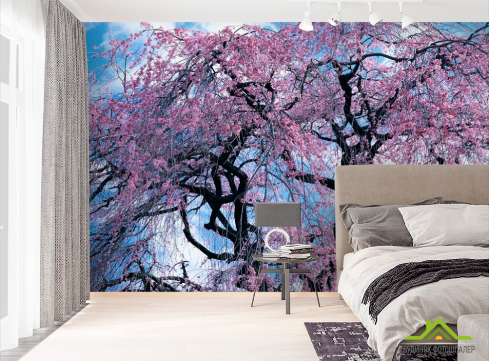 выбрать Фотообои Сакура Фотообои Сакура на стену