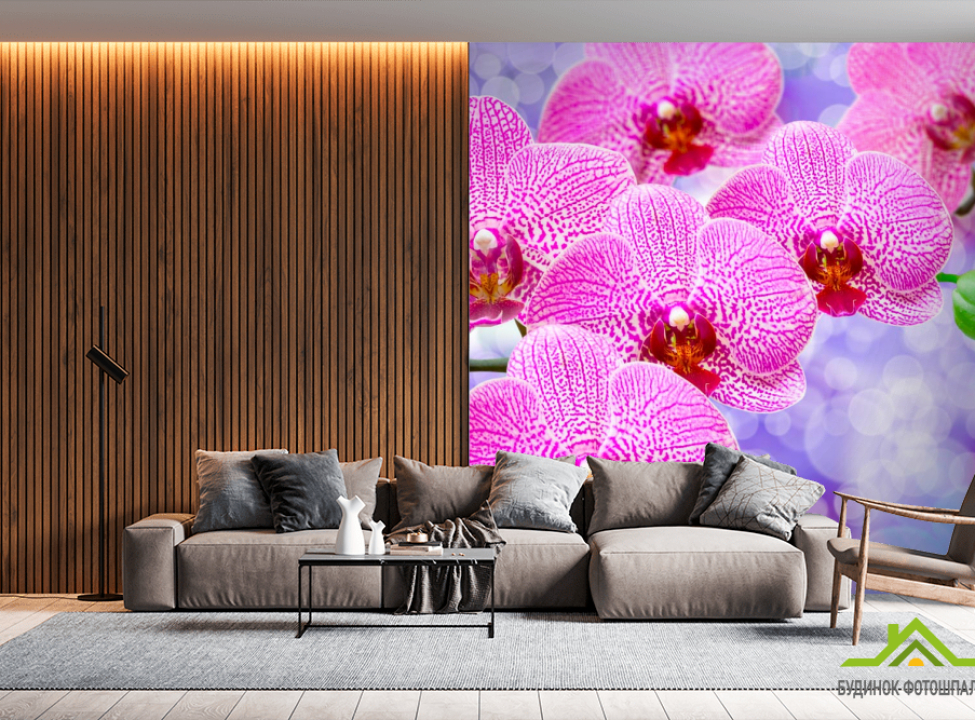 выбрать Фотообои Орхидеи распустились розовые Фотообои Орхидеи на стену