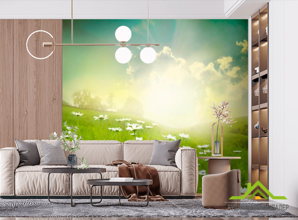 выбрать Фотошпалери Ромашки, поле Фотошпалери Природа на стіну