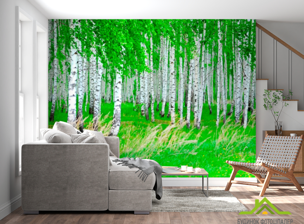 выбрать Фотообои Березовая роща, лес Фотообои лес на стену