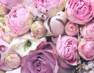 Фотообои Цветы  в Хмельницком