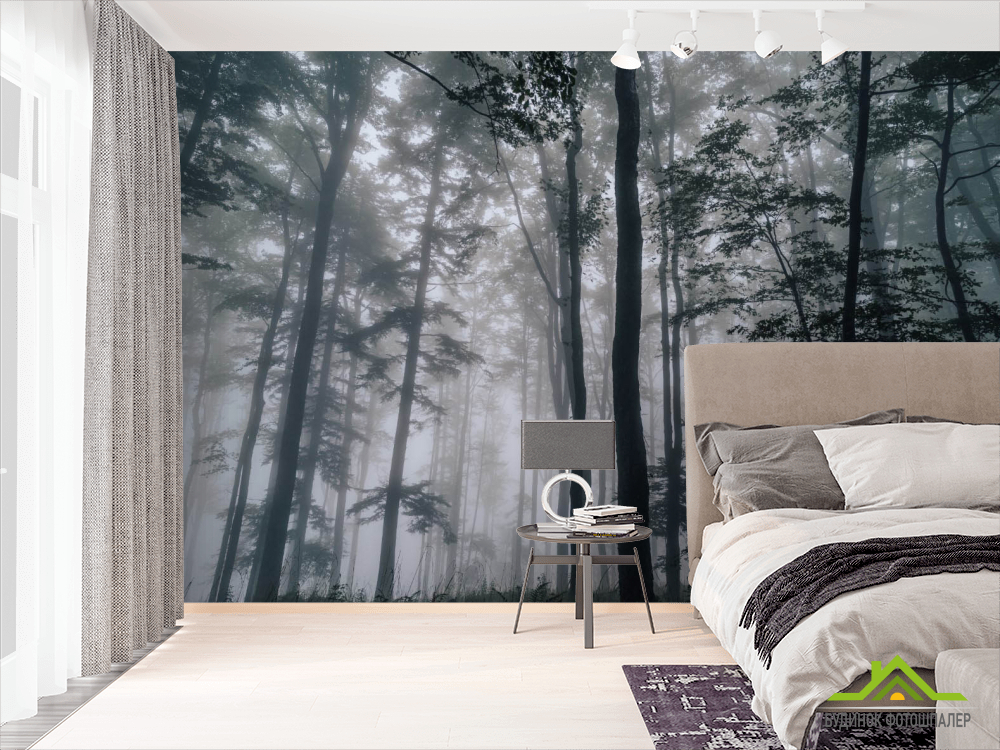 Фотошпалери Темний ліс