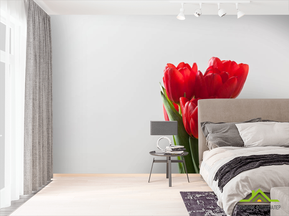 Фотошпалери червоні тюлипаны
