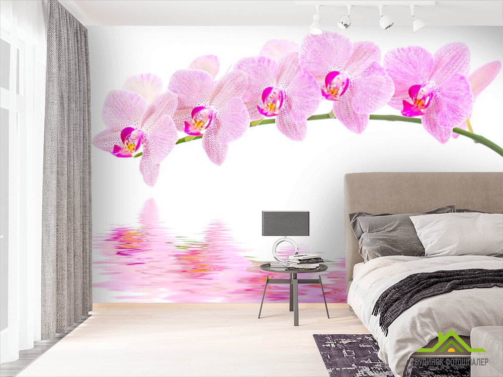 Фотошпалери Відображення орхідей