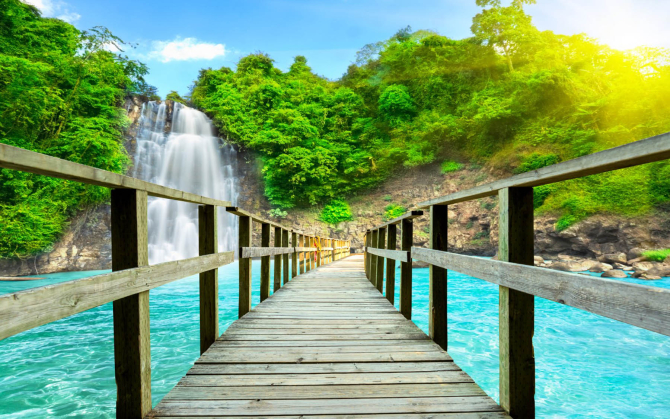 Фотообои Дорога к водопаду