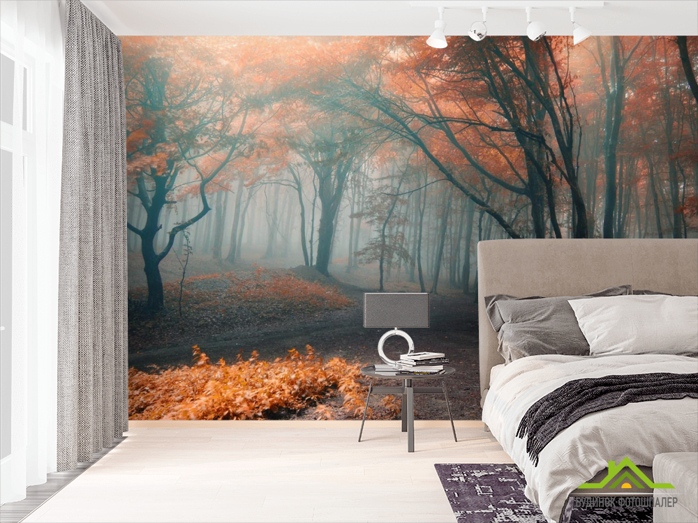Фотошпалери осінній ліс
