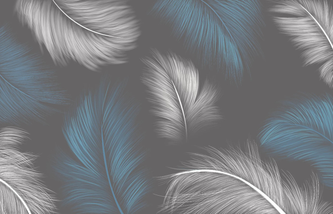 Фотошпалери векторні пір'я