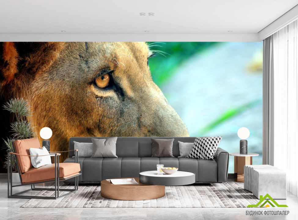 выбрать Фотошпалери Лев Фотошпалери Леви на стіну