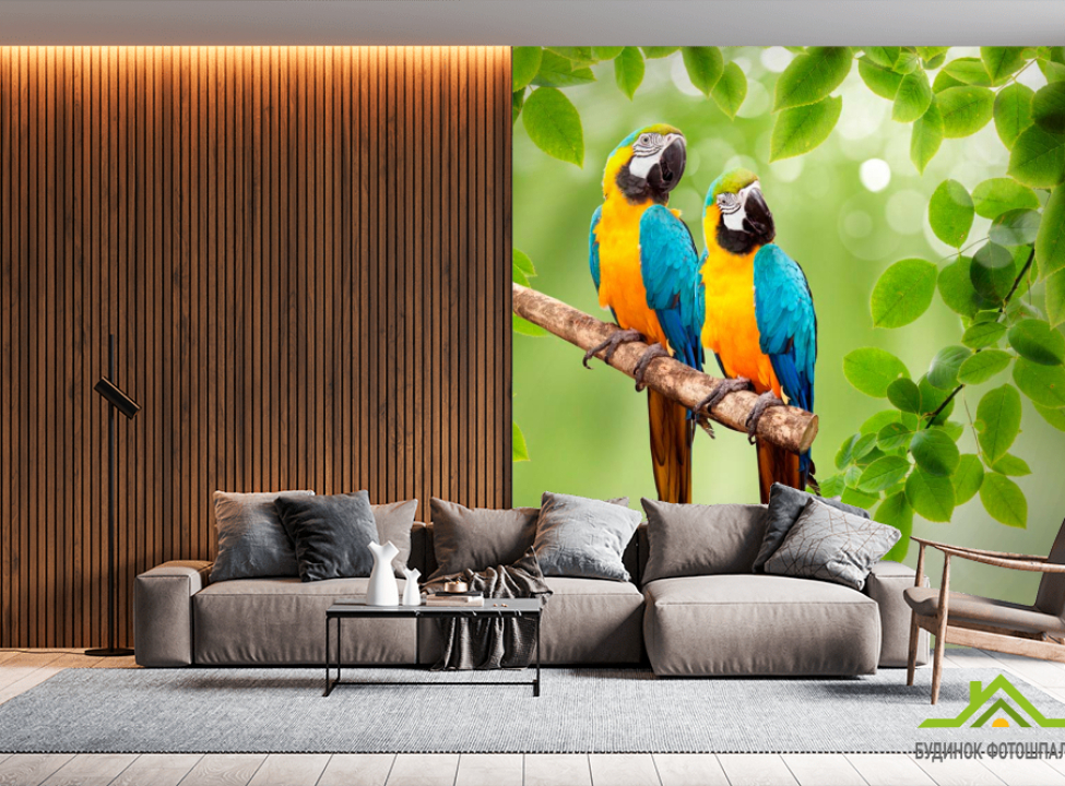 выбрать Фотошпалери Папуги Фотошпалери Птиці на стіну