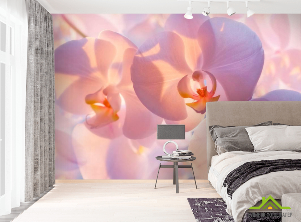 выбрать Фотообои Бледно-кремовые орхидеи Фотообои Орхидеи на стену