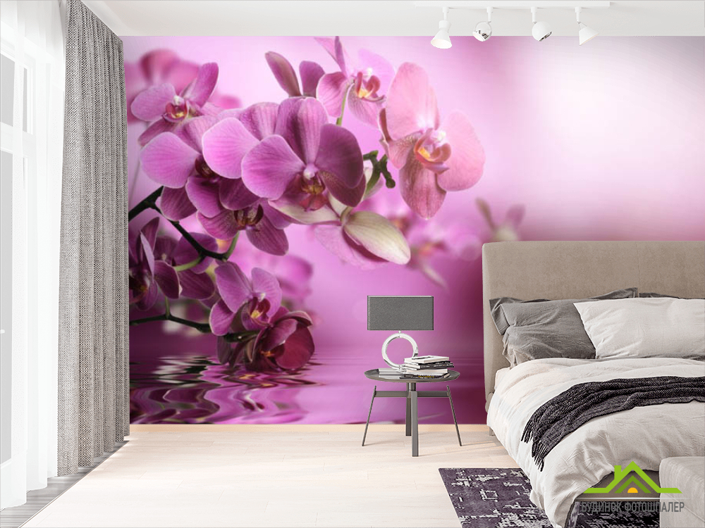 Фотошпалери орхідеї