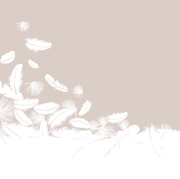 Фотошпалери Повітряні пір'я