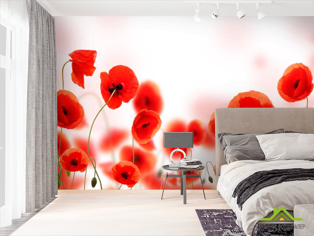 Фотошпалери Маки польові