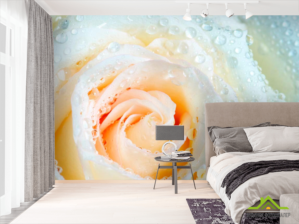Фотошпалери Роза біло-бежева