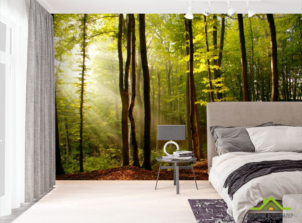 выбрать Фотообои Кусок леса Фотообои лес на стену