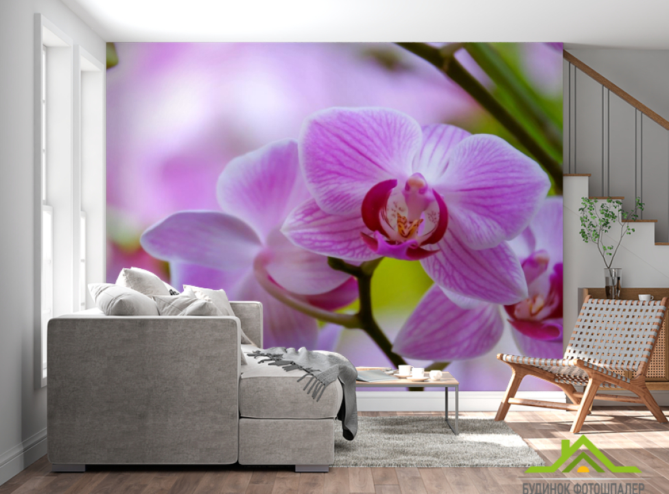 выбрать Фотообои орхидеи с листиком Фотообои Орхидеи на стену