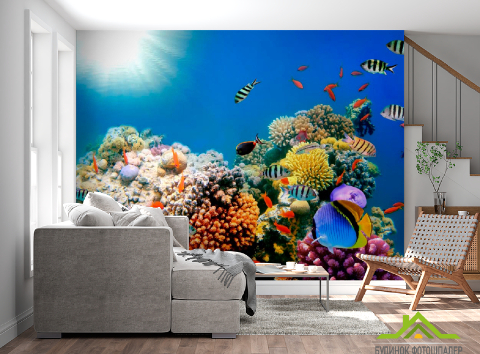 выбрать Фотообои Рыбный косяк Фотообои Море на стену