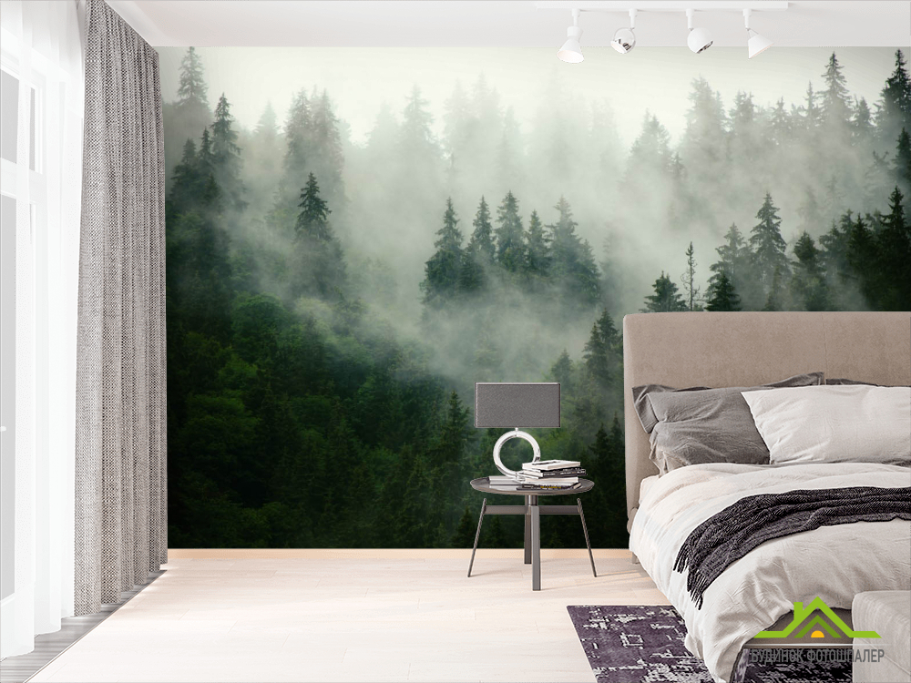 Фотообои Туманный лес
