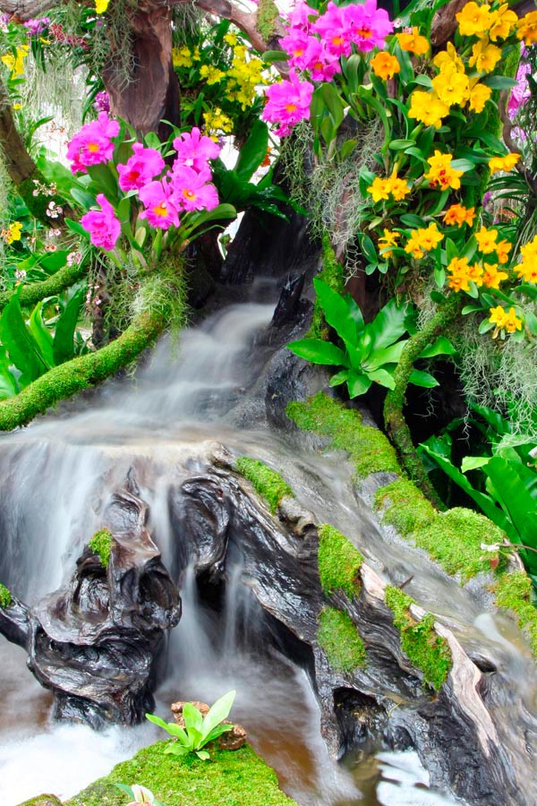 Фотошпалери Квіткова казка