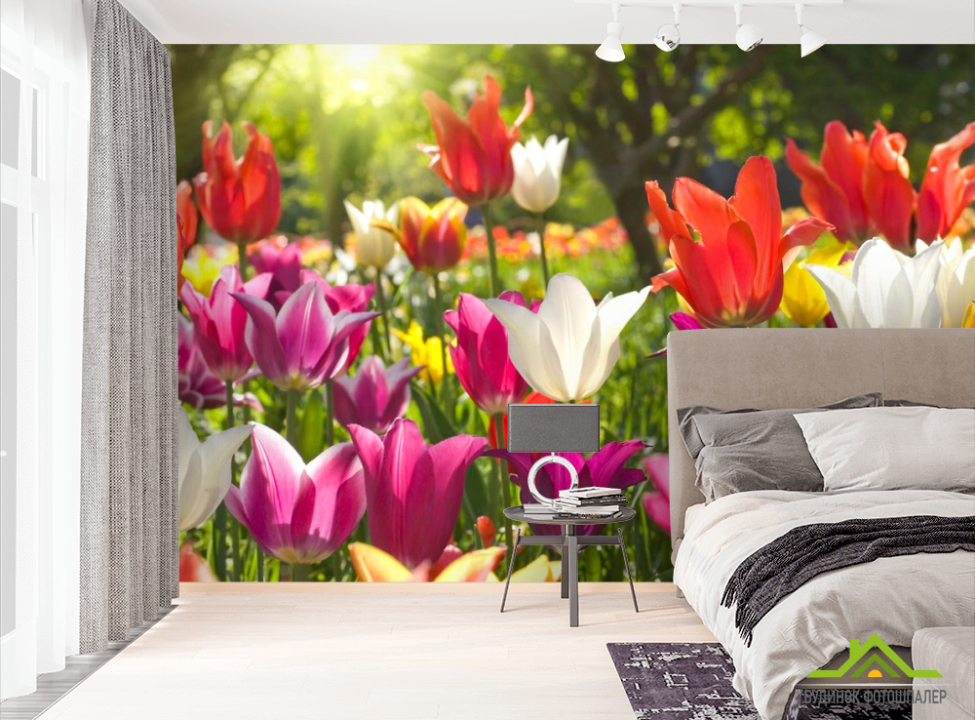 выбрать Фотообои Остроконечные тюльпаны  на стену