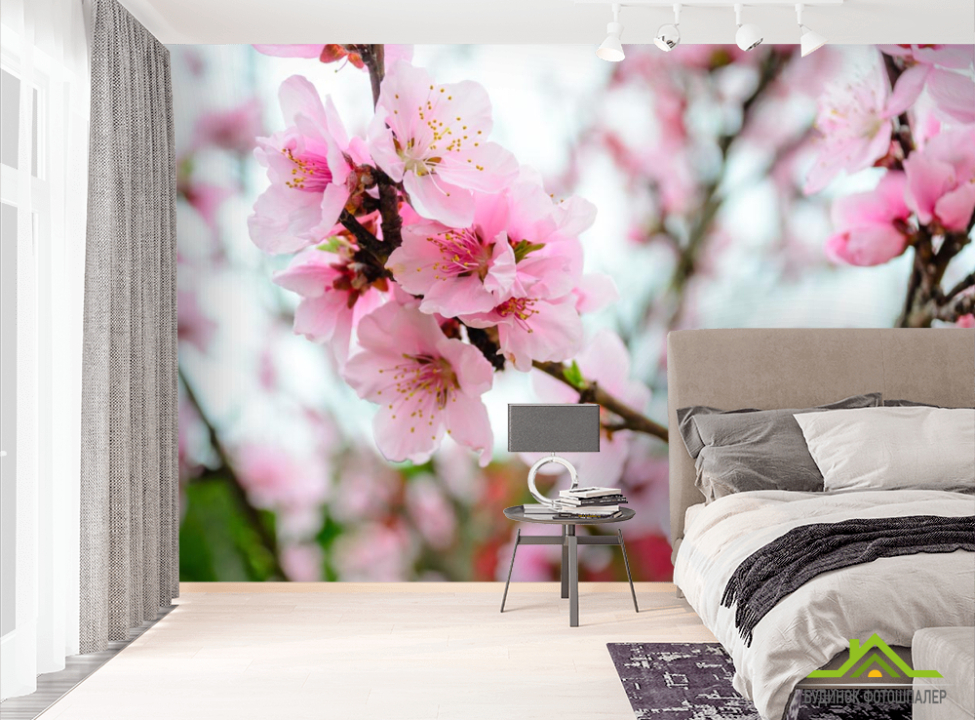 выбрать Фотошпалери рожева сакура Фотошпалери Квіти на стіну