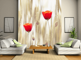 Фотообои цветы в интерьере с фото