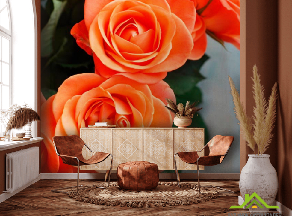 выбрать Фотошпалери Троянди кольору коралів Фотошпалери Троянди на стіну