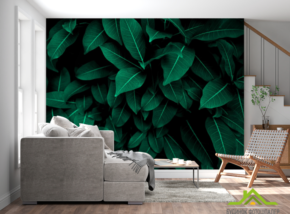 выбрать Фотошпалери зелене листя Фотошпалери тропічні листя на стіну