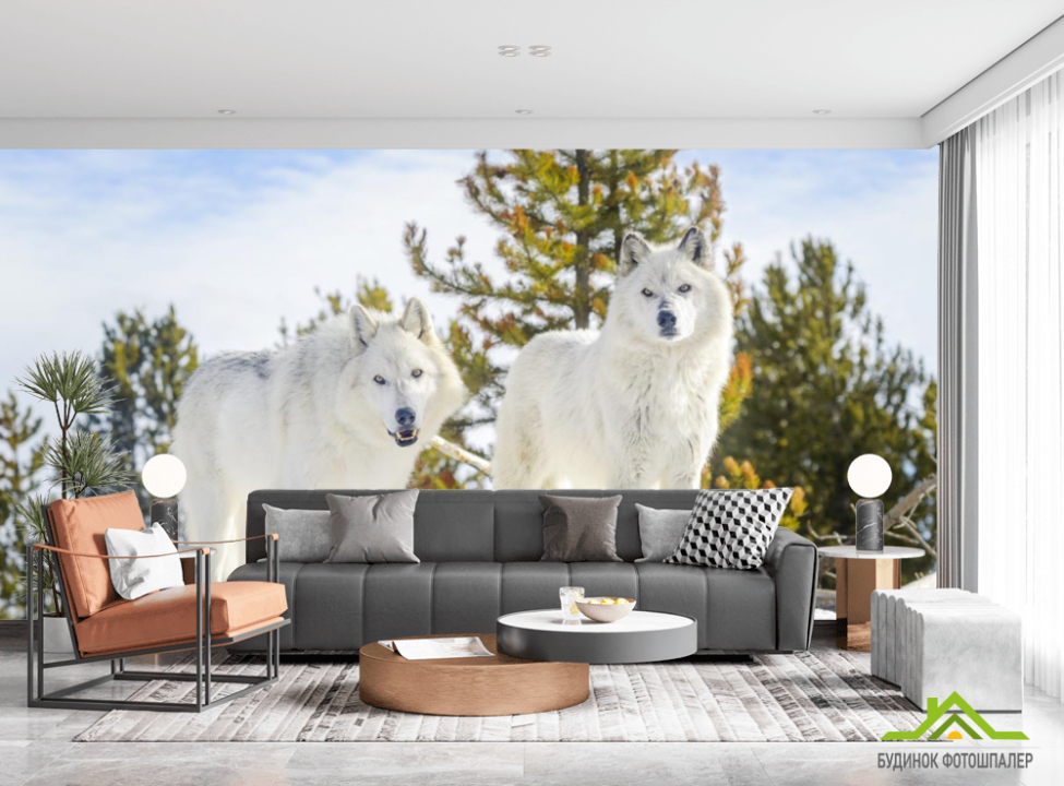 выбрать Фотошпалери два білих вовка на снігу Фотошпалери Тварини на стіну