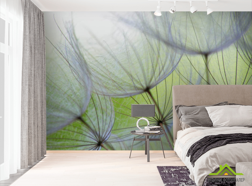 выбрать Фотошпалери кульбаби Фотошпалери різні на стіну