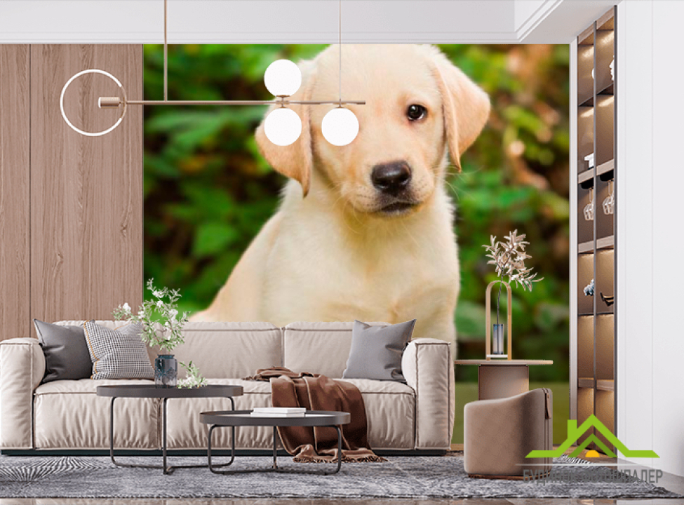 выбрать Фотошпалери Милий щеня Фотошпалери Собаки на стіну
